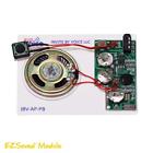 Ibv-ap-3pb Invite By Voice Llc Set Of Ezsound Module 854515007173