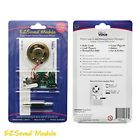 Ibv-ap-st Invite By Voice Llc Ezsound Module For Diy 854515007135