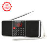 J-288 Prunus Portable Bluetooth Stereo Radio Am Fm Sd Usb Aux