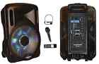 1300w Ld12b Loudstar Acoustics Portable Speaker