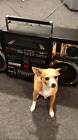 Sh3000b Microsoft Soundstream Streethopper Bazooka Boombox Woofers