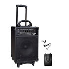 Pwma260 Pylepro 300 Watt Wireless 068889015232