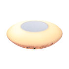 Sdn-9507 Dependable Direct Deluxe Bedside Lamp With Bluetooth Speaker