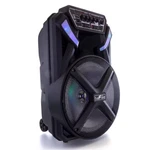 Befree Sound Party Speaker Bluetooth Portable Wheels Rechargeable Usb Fm Radio. Fixed Price $91.12.