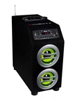Sondpex Portable 2.1 Hifi Bluetooth Speaker, Digital Music Player And Fm Radio. Fixed Price $45.99.