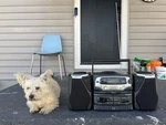 Koss HG857 Boombox Stereo System Cd Dual Cassette Deck Radio. Fixed Price $199.99.