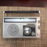 Vintage Panasonic Am/fm 2 Band Radio, Model RF-568D, Works. Fixed Price $19.32.