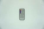 Remote Control For Ridgeway D1208 QS-1238 Inch Rechargeable Bluetooth Speaker. Fixed Price $12.87.