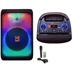 Mr Dj CUBE12 12" Rechargeable Portable Bluetooth Karaoke Speaker With Party. Fixed Price $119.99.